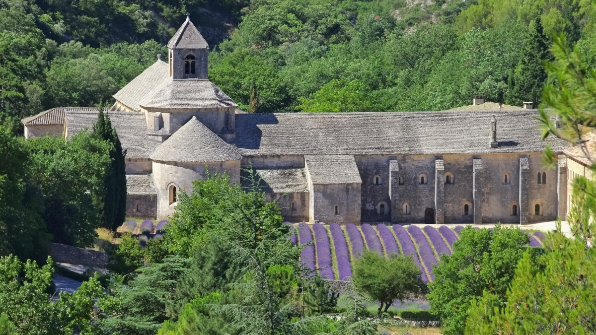 Abbaye de Sénanque and lavender fields