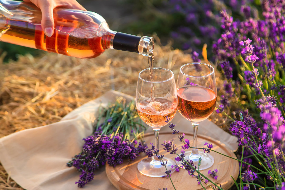 Provence vineyard and wine tasting
