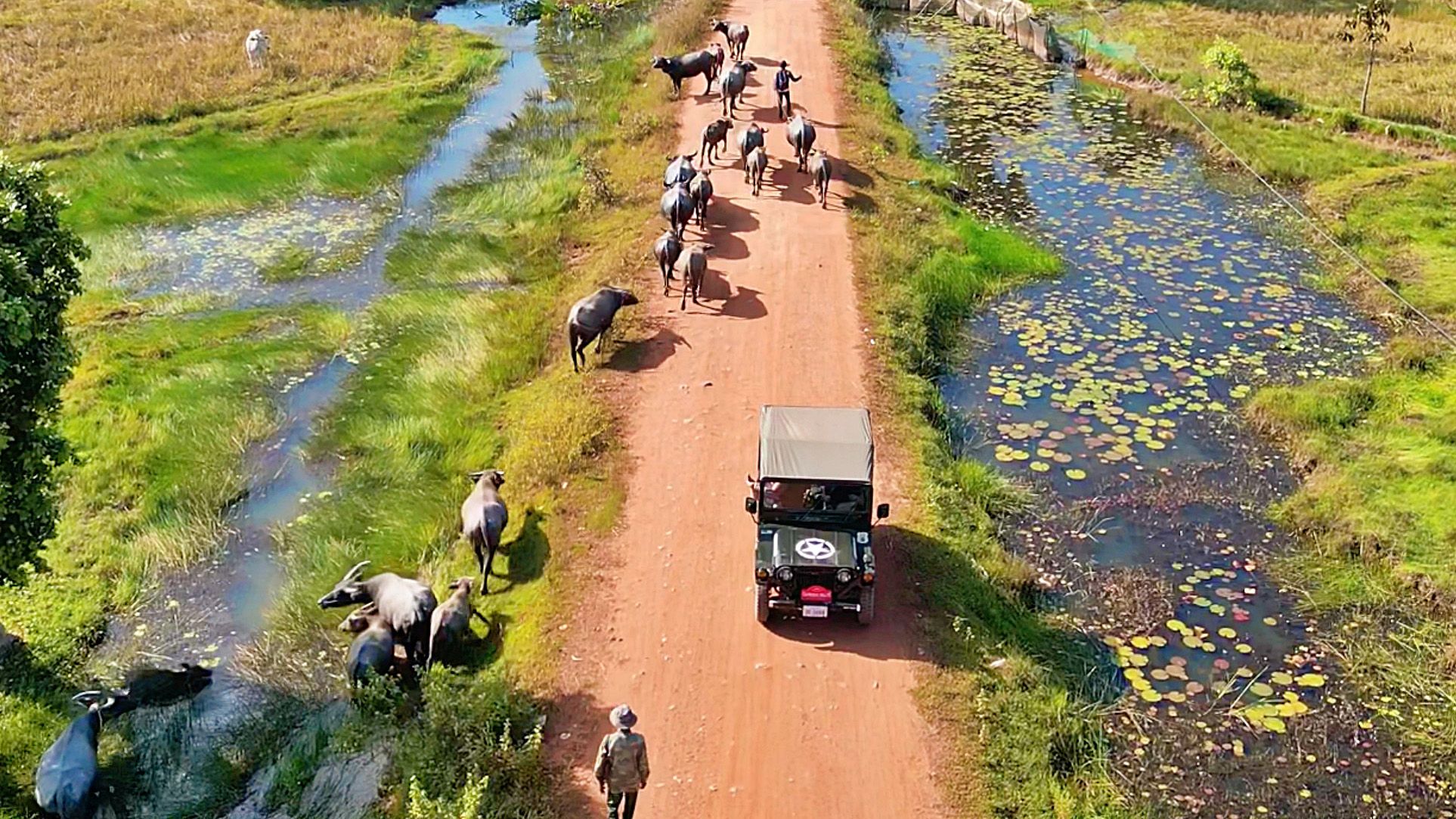 Cambodia Jeep