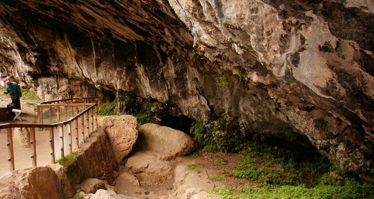 Grotta del Romito, Papasidero