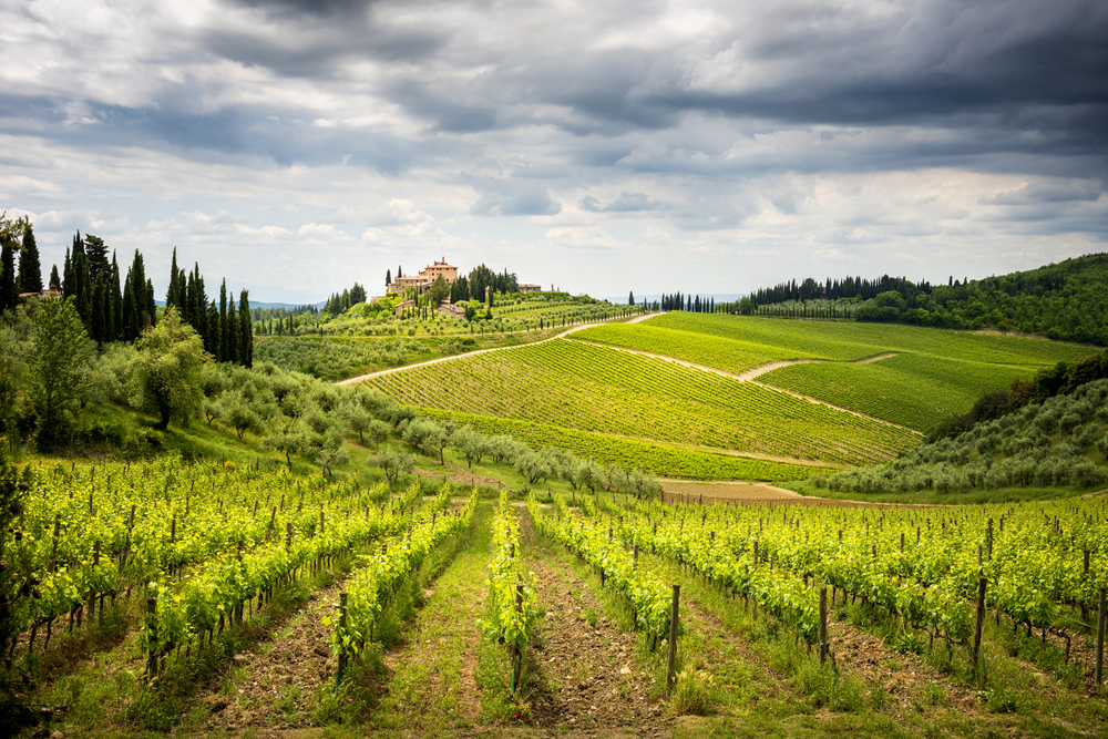 Castello di Ama
